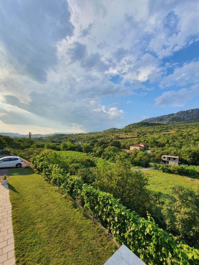 Apartmán Djukic Winery Podgorica Exteriér fotografie