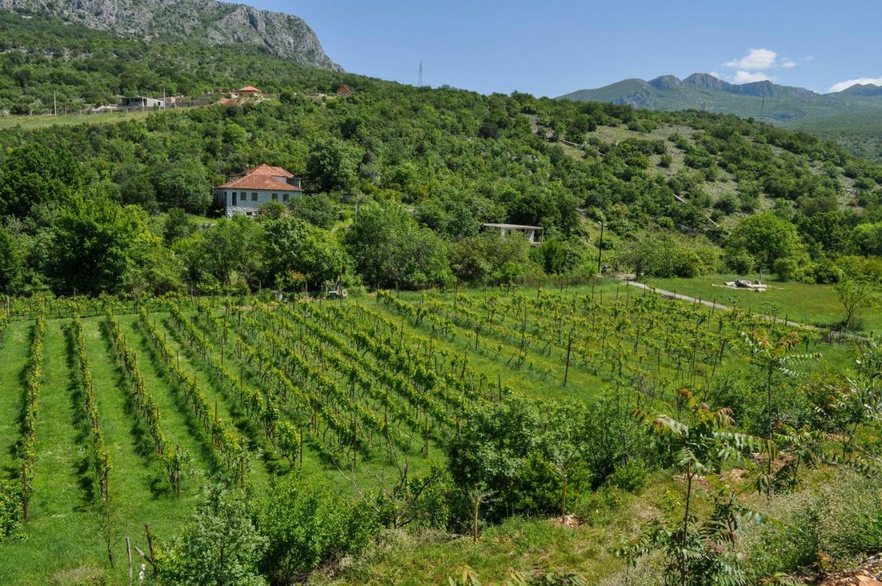 Apartmán Djukic Winery Podgorica Exteriér fotografie